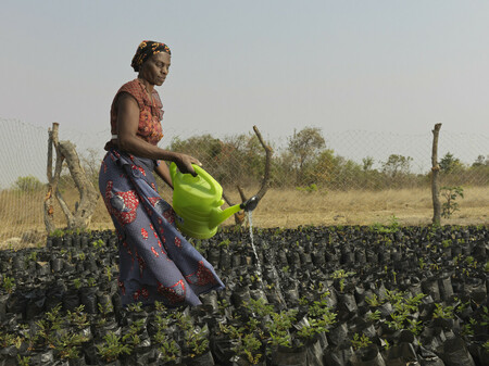 2023_ Climate Heroines - Febbie Zambia