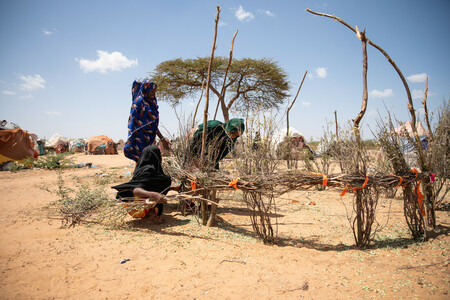 2023_Kenya_Dadaab_Food_Distribution